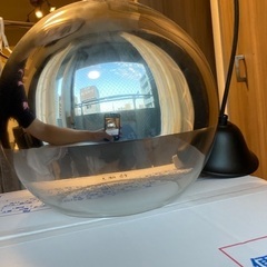 ペンダントライト
