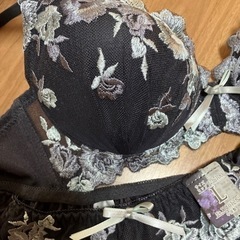 新品・未使用 ブラ&ショーツセット サイズLの画像
