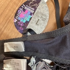 新品・未使用 ブラ&ショーツセット サイズLの画像