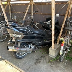 マジェスティーCの画像