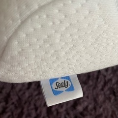 Sealy 枕の画像