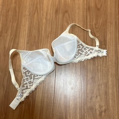 ワコール 新品・未使用 ブラジャー E70 ホワイトの画像