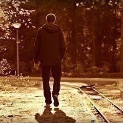 自分が本当に探し求めているものってなんだろう？　その答え知りたく...