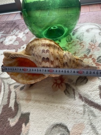 ガラス玉　ホラ貝