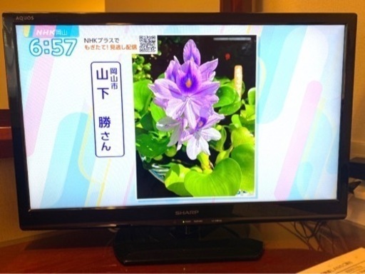 シャープ製/2016年式24型地上・BS・110度CSデジタル液晶テレビ　外付けUSBハードディスク録画対応/LC-24BK20