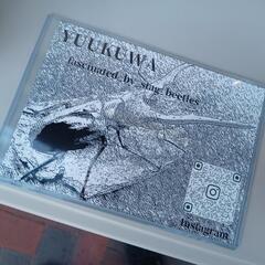 クワガタ＊カブトムシ＊直売中の画像