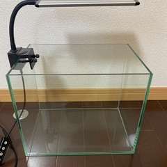 30cm水槽 ふちなし LEDライト付きの画像