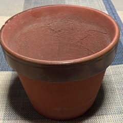 取引中【無料】素焼き植木鉢 9号