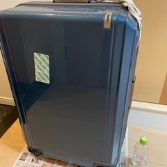 キャリーバック　海外用　長期宿泊用の画像