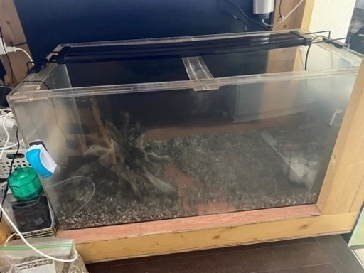 アクリル水槽90センチ