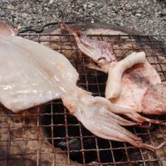 予約殺到中。今日の分一旦締め切ります。トビイカ一夜干し!!の画像