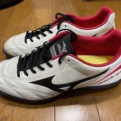 ミズノMONARCIDA 25.5cmの画像