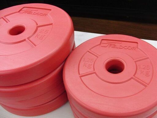 FIELDOOR ダンベル プレートのみ 35kg/12枚 バーベルプレート 札幌市手稲区
