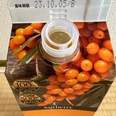 【取引決定】豊潤サジー 1000mlの画像