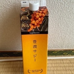 【取引決定】豊潤サジー 1000mlの画像