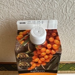 【取引決定】豊潤サジー 1000mlの画像