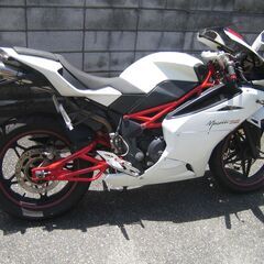 Mgari250R　LEMITED　決まりました