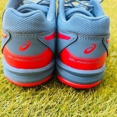 ゲルリゾリューション7 25.0の画像