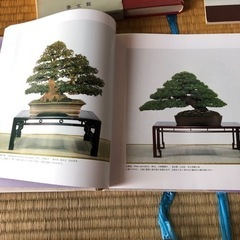 盆栽の本まとめ売りの画像