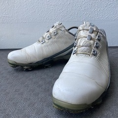 Foot Joy  D.N.A. Boa  ゴルフシューズ  25cm