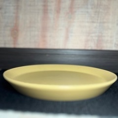 【お皿】黄色いお皿✖︎2の画像