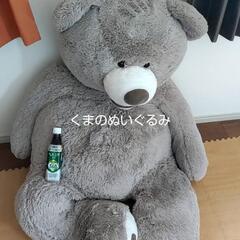 くまのぬいぐるみ