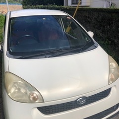 早い者勝ちソニカ、RS