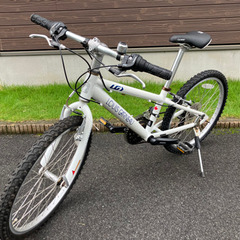 ルイガノ　J22　ホワイト J22 L / ジェイ ニジュウニ エル / LOUIS GARNEAU / ルイガノ