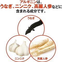 【10360円相当】アルギニンEX 30袋入りｘ２箱セット【滋養強壮】の画像