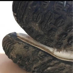 トライアルブーツ　アルパインスターの画像