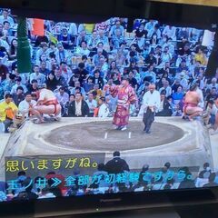 ジャンク品 パナソニック32型 VIERA液晶テレビ  地デジ 