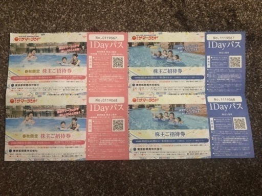 サマーランド　1DAYパス