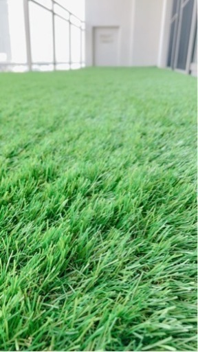 《お取り引き終了》2023年6月購入　人工芝　新品未開封