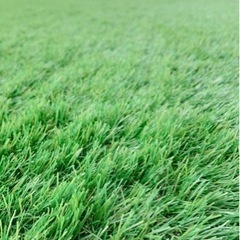 お取り引き終了》2023年6月購入 人工芝 新品未開封
