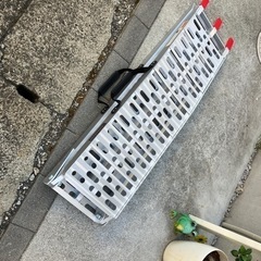 ラダーレール