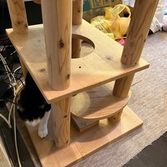 キャットタワーの画像