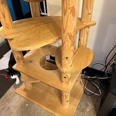 キャットタワーの画像