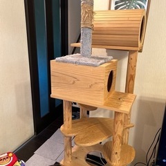 キャットタワーの画像