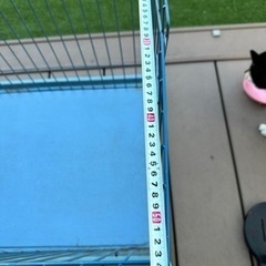 犬用ケージの画像
