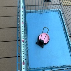 犬用ケージの画像