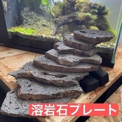 溶岩石プレート スライス溶岩石 水槽 アクアリウム レイアウト
