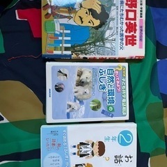 小学校低学年向け　5冊セットの画像