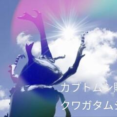 オオクワガタ　ペア　能勢YG血統