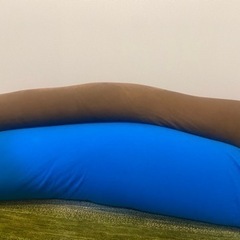 ヨギボー（Yogibo）maxとroll maxの画像