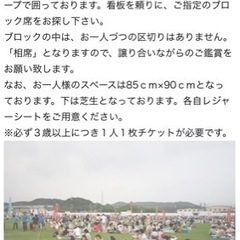 袋井花火　ブロック席　2枚の画像