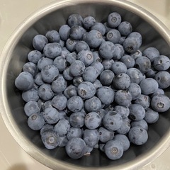 決まりました　ブルーベリー　無農薬