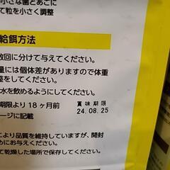 ドッグフード　ELMOラム·ライス&ポテトの画像