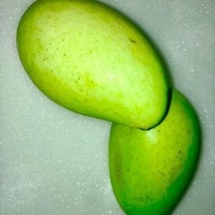 グリーンマンゴー 1kg 送料込みの画像