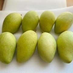 グリーンマンゴー 1kg 送料込み