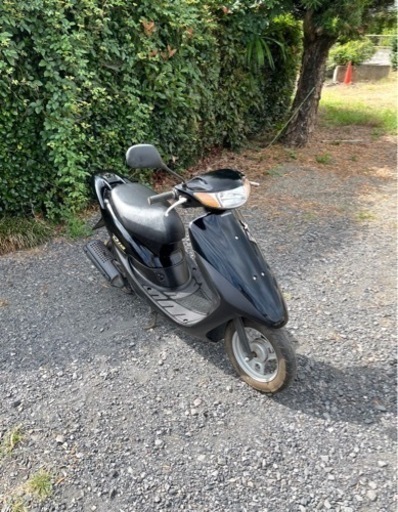 599.  動画あり　ホンダ　ライブディオZX仕様　綺麗　原付　バイク　50cc   車体